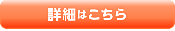 詳細を見る