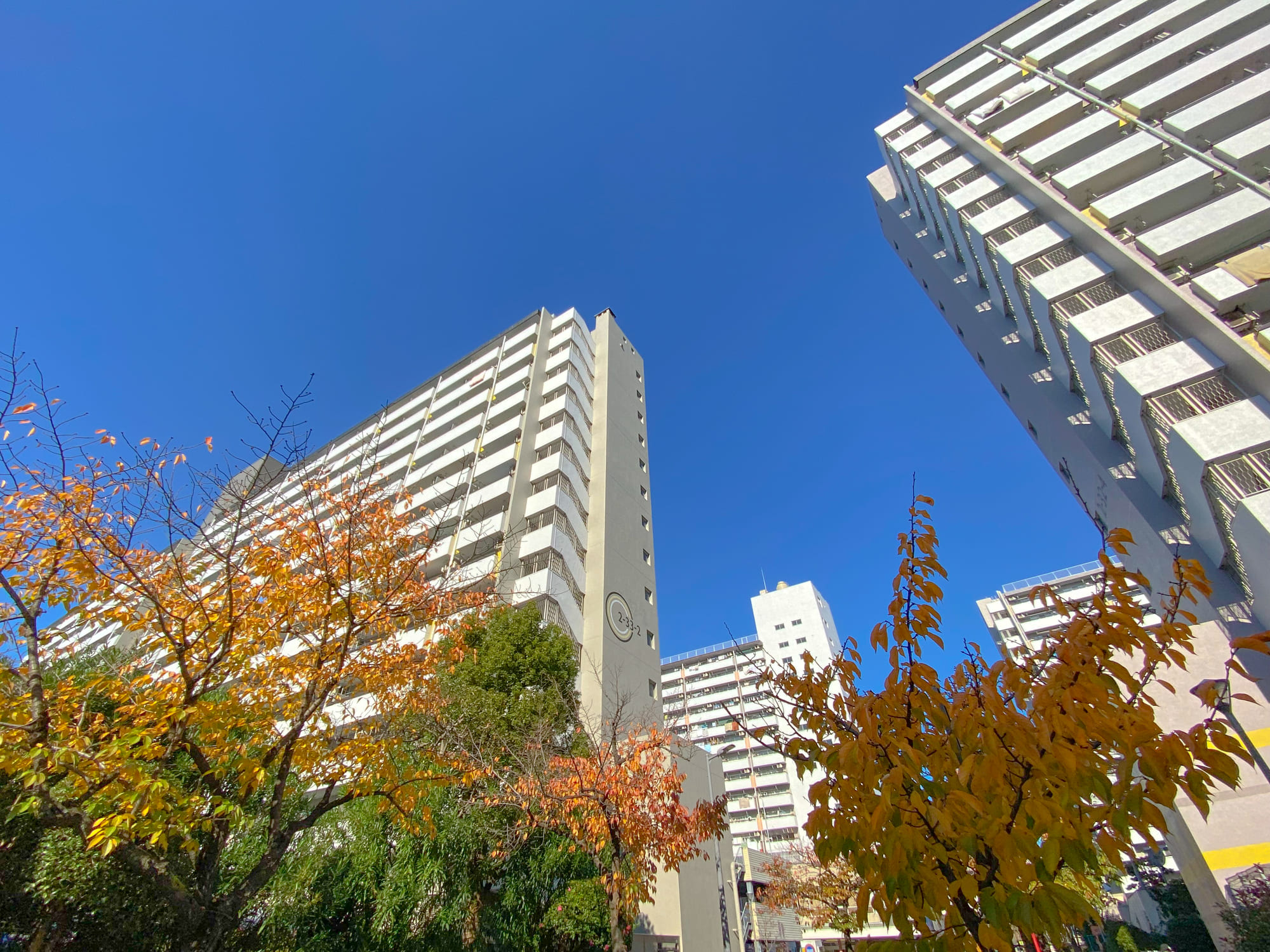 練馬区のマンション防水工事の種類や費用・周期と耐用年数について【屋上・屋根・ベランダを守る】