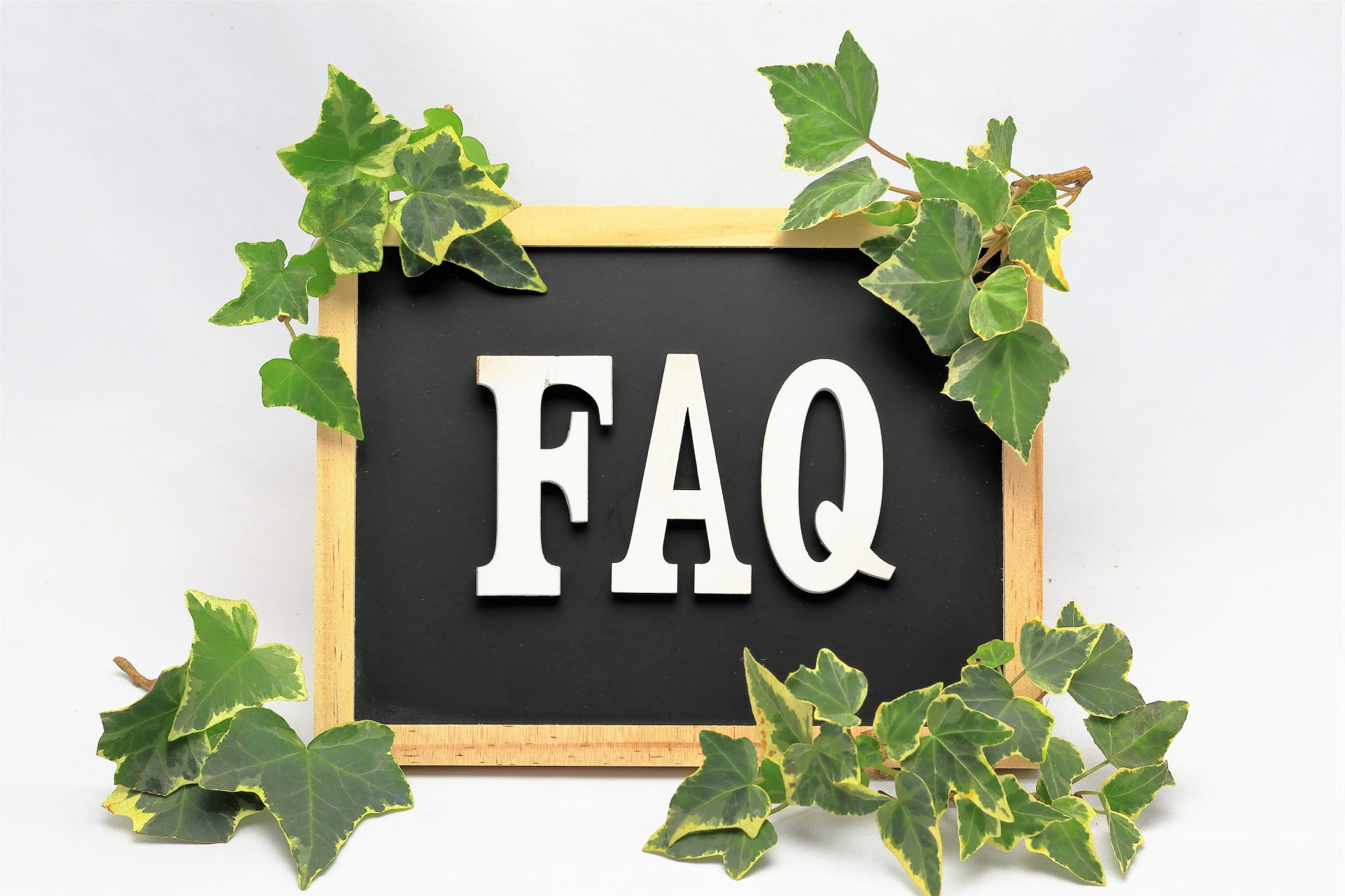 FAQ