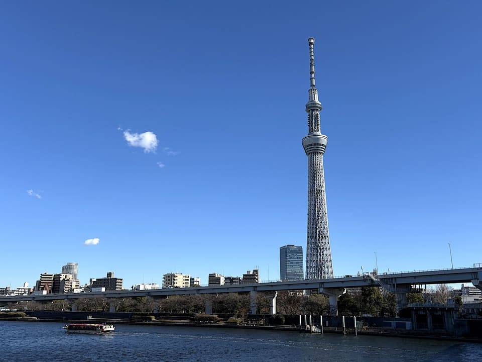 墨田区の中規模修繕工事を検討中の方へ｜費用相場・工事内容・助成金制度について解説