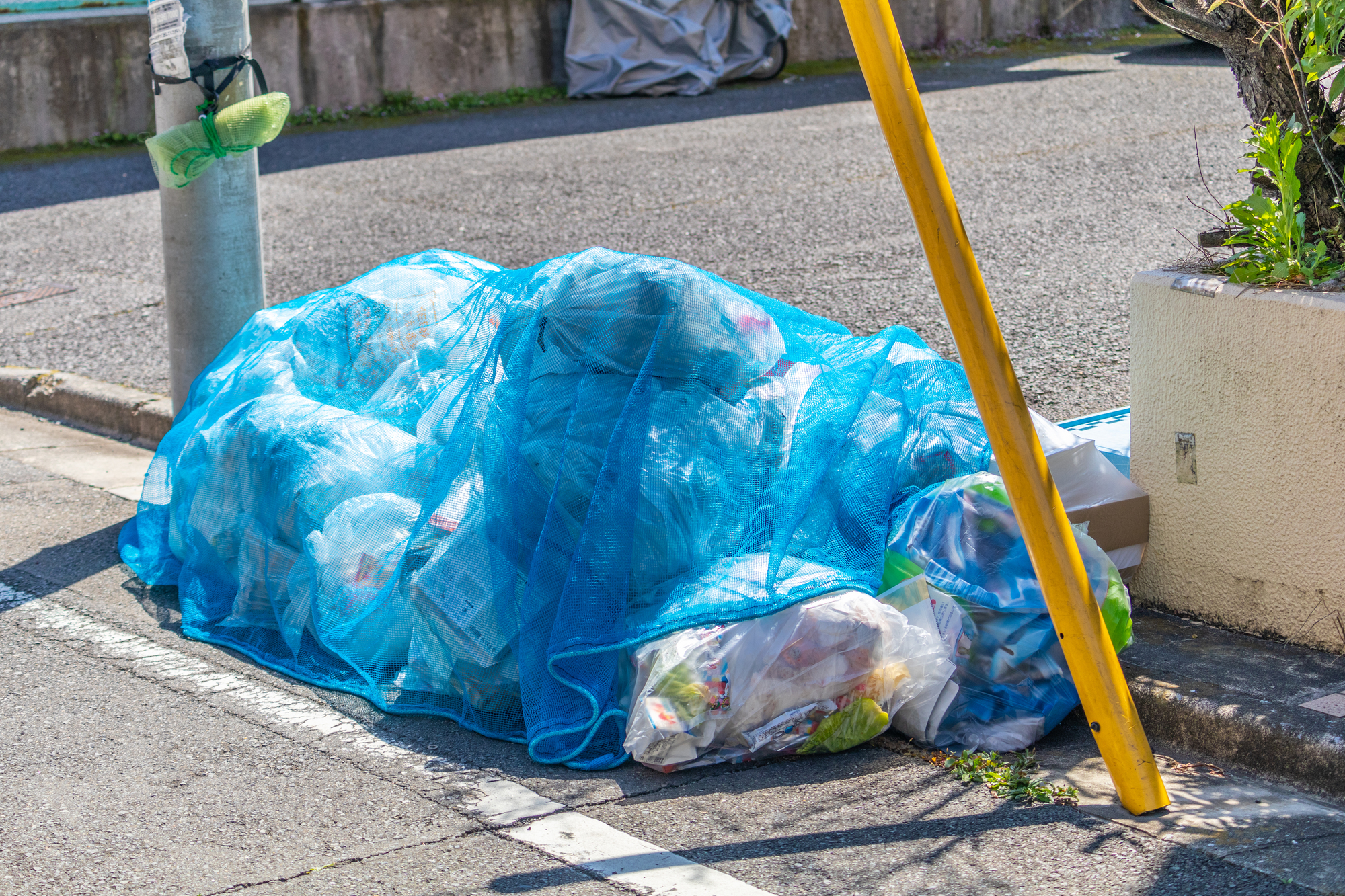 戸建てでは自治会に入らないとゴミ出しができない？法的根拠と解決策をわかりやすく解説