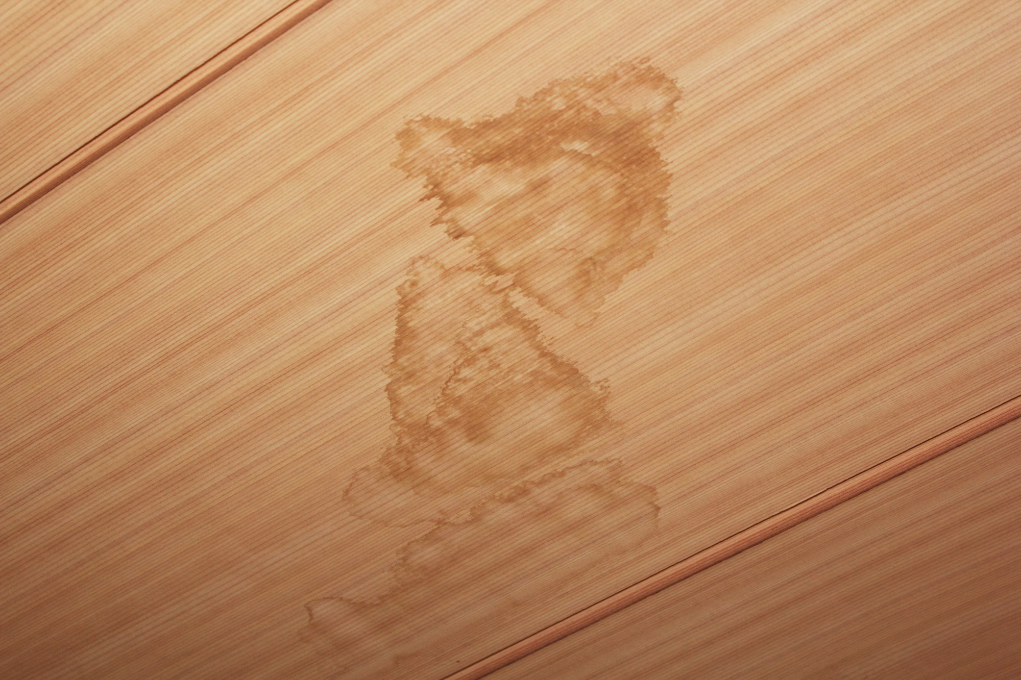 雨漏り原因を徹底解明！発生箇所ランキングと効果的な対処法ガイド